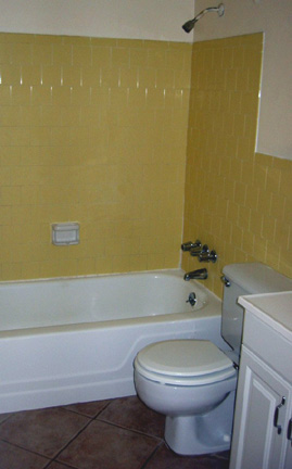 Bath tub and toilet (in case you didn't know....)