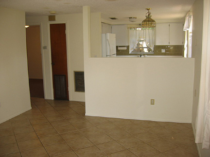 Living room and kitchen
