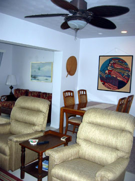 Living-Dining area